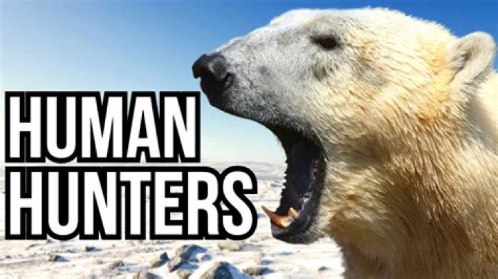 3 Predators That Hunt Humans: Beware In The Wild