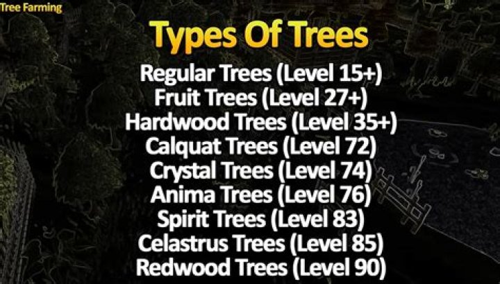 Best Tree Saplings OSRS: Grow Your Forest To Greatness