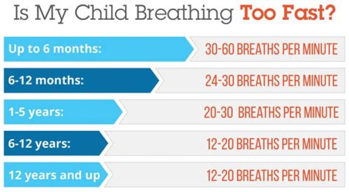 Comprehending Baby's Breathing Rate: Understanding Breaths Per Minute