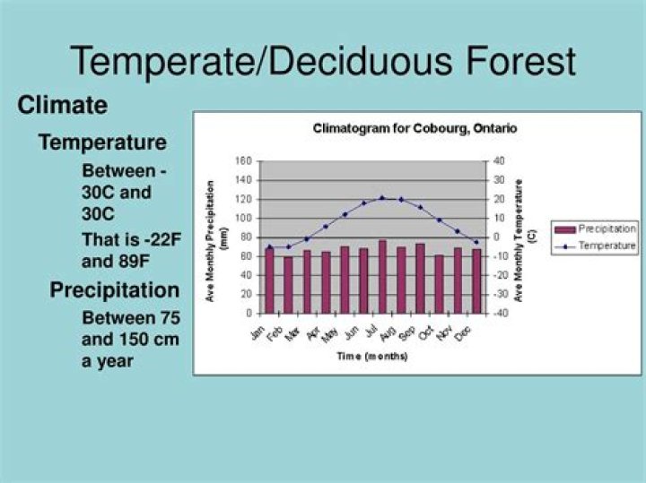 Deciduous Forest Precipitation: A Comprehensive Overview