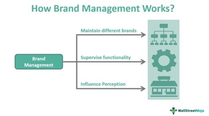 Discover Ida Ayoade: A Renowned Voice In Brand Management