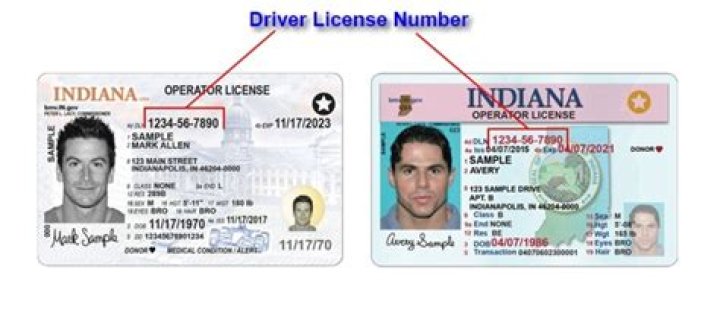 Locate Your Driver's License Number Easily - Guide