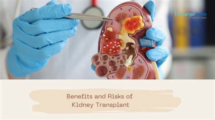 The Extraordinary Journey Of Alex Greathouse: A Life-Saving Kidney Transplant