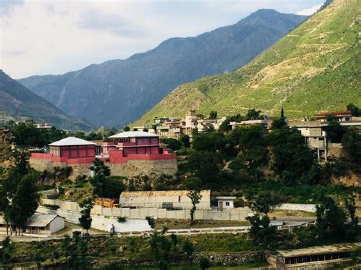 The Ultimate Guide To Besham Sugrim: Properties, Applications, And More