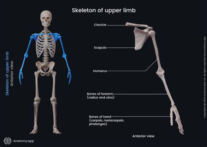 The Ultimate Guide To Understanding 