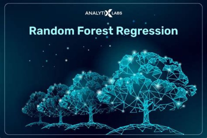 The Ultimate Guide To Variable Importance In Random Forests